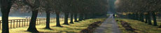 Strada